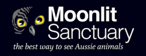 Moonlit Sanctuary